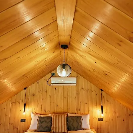 Scandinave Bran