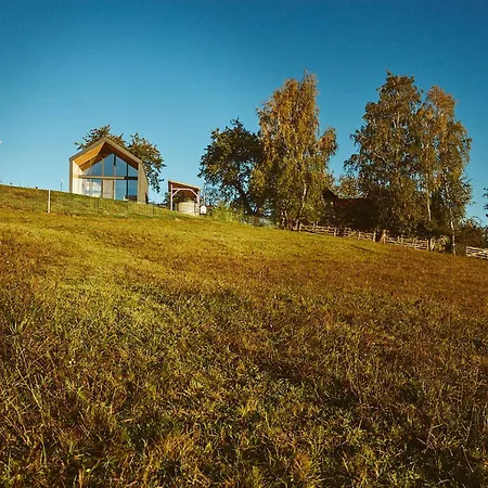 Scandinave Bran * Zărneşti