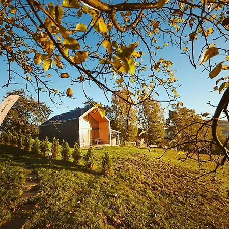 Scandinave Bran