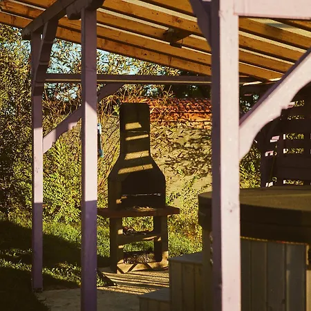 Scandinave Bran אכסניה Zărneşti