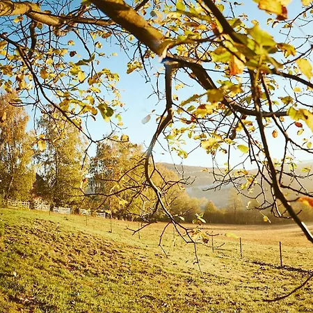 Scandinave Bran Zărneşti
