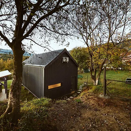 Scandinave Bran אכסניה Zărneşti